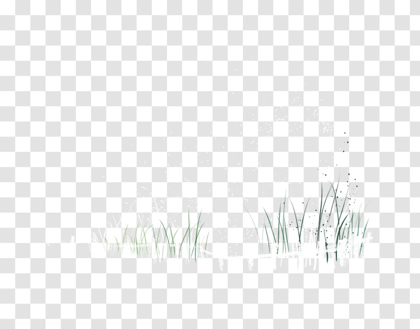 White Black Pattern - Rectangle - Painted Fence Grass Transparent PNG