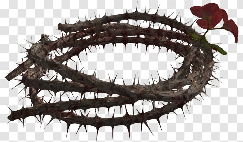 Crown Of Thorns Thorns, Spines, And Prickles - 3d Computer Graphics - CROWN Transparent PNG