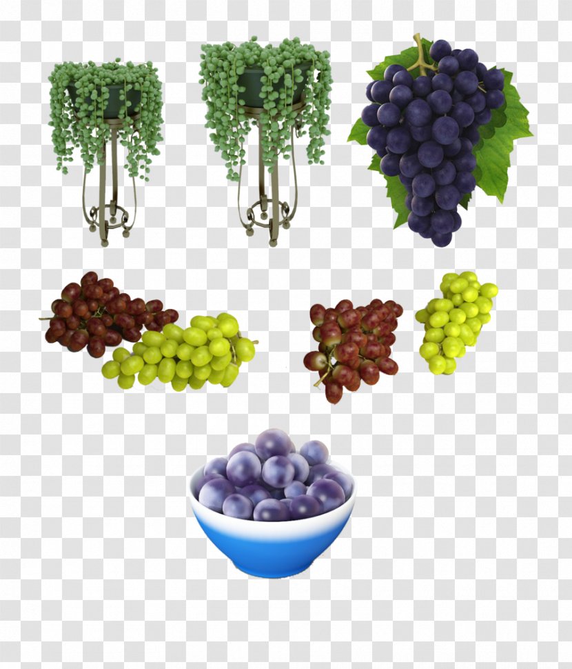 Grape DeviantArt Germany Fruit - Plant Transparent PNG
