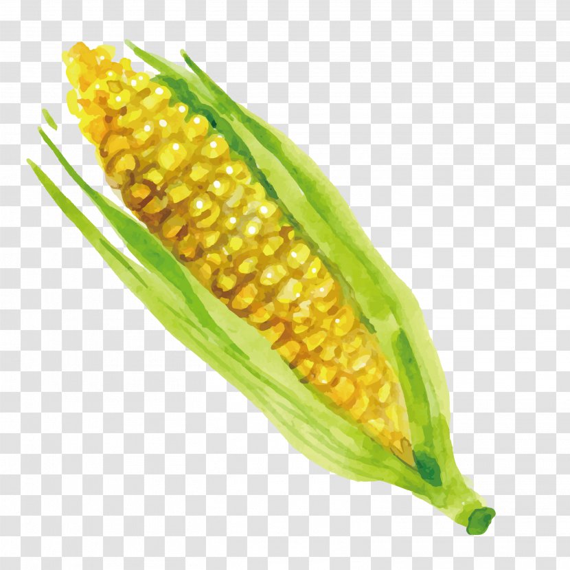 Corn On The Cob Greatest Grains Maize Meal Kernel - Delicious Transparent PNG
