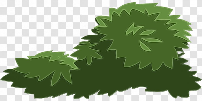 Watercolor Flower Background - Teacher - Leaf Vegetable Herb Transparent PNG