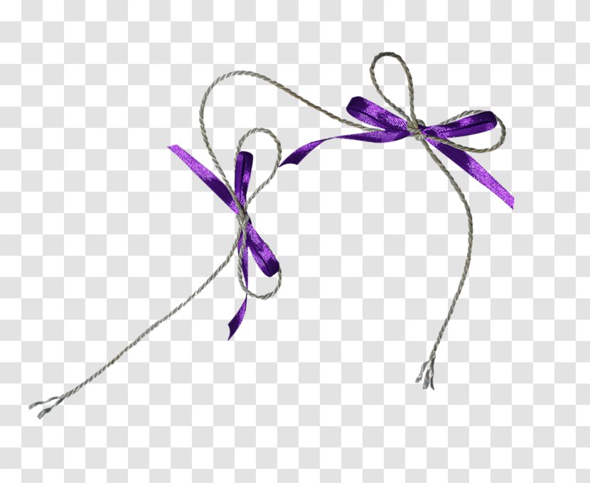 Shoelaces Ribbon Clip Art - Folktale Transparent PNG