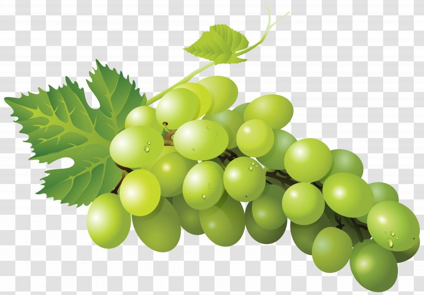 Sultana Grape Zante Currant Seedless Fruit Sauvignon Blanc - Grapevine Family Transparent PNG