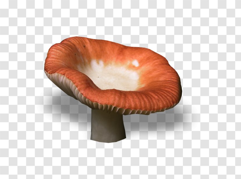 Fungus Mushroom Clip Art - Orange Transparent PNG