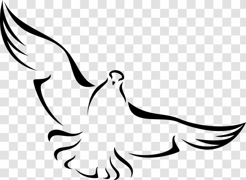 Columbidae Bird Domestic Pigeon Doves As Symbols - Black - Baptism Transparent PNG