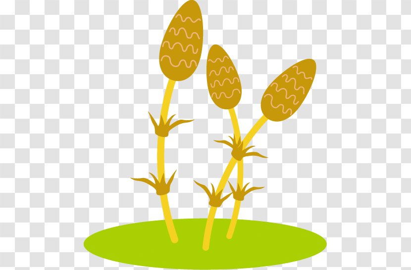 Tsukushi And Green Grass Illustration. - Season - Flowering Plant Transparent PNG