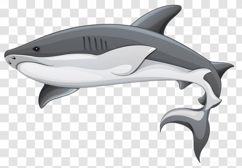 Shark Fin Soup Finning Clip Art - Carcharhinus Amblyrhynchos Transparent PNG