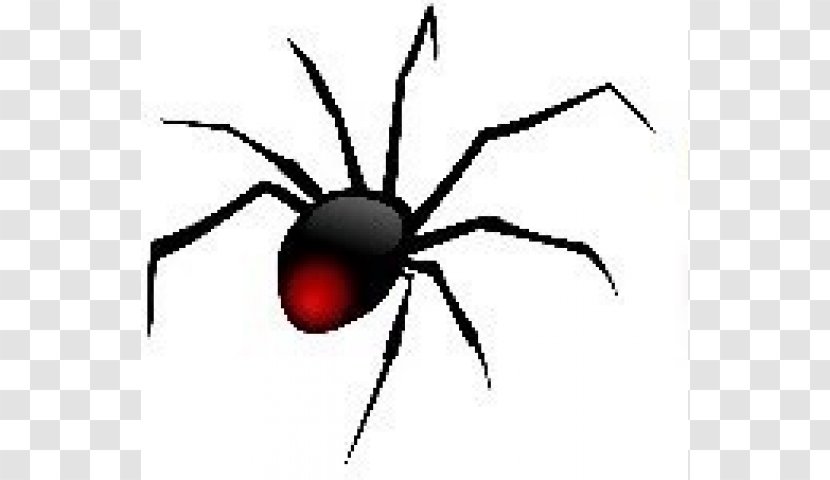 Redback Spider Clip Art Openclipart Image - Widow Transparent PNG