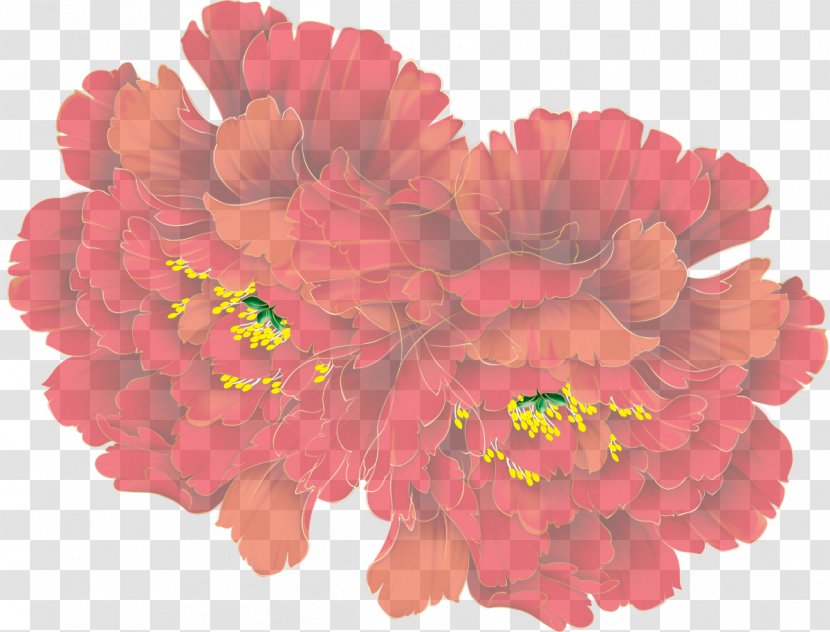 Cut Flowers Floral Design Transvaal Daisy Peony - Carnation - Poppy Transparent PNG