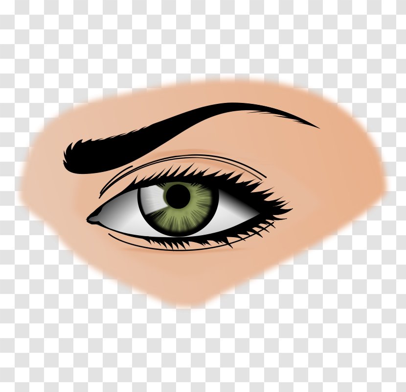 Human Eye Clip Art - Watercolor - Line Transparent PNG