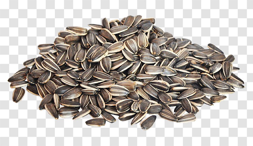 Nut Sunflower Seed Common - Ingredient Transparent PNG