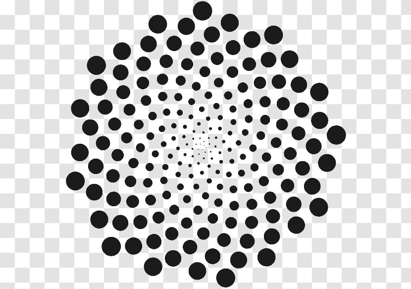 Graphic Design - Monochrome - Phyllotaxis Transparent PNG