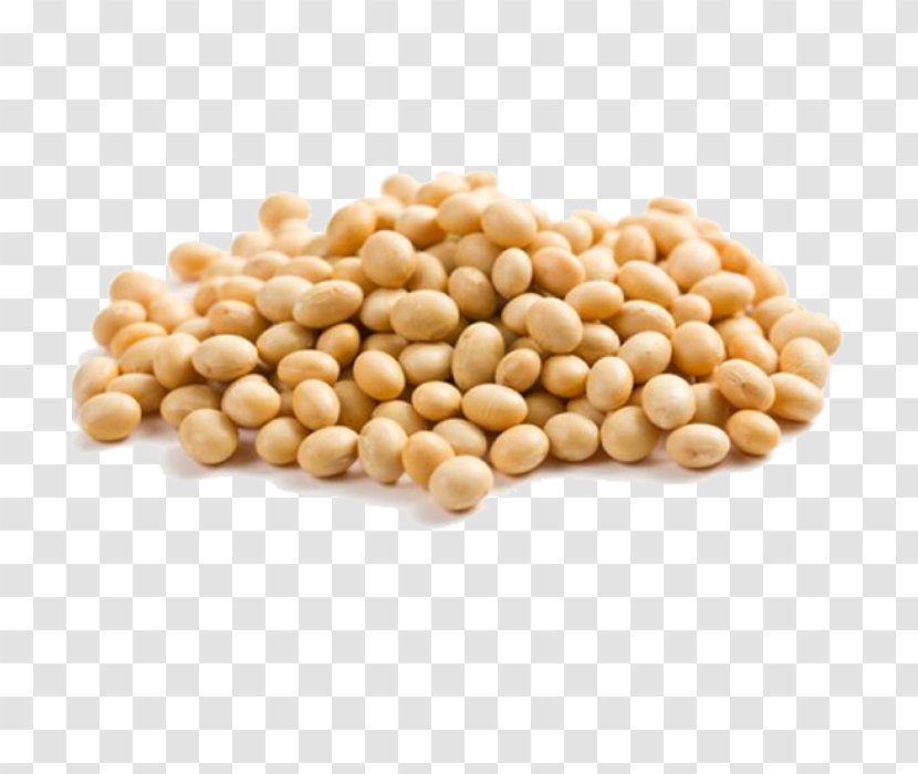 Soybean Soy Milk Vegetarian Cuisine Legume - White Bean Transparent PNG