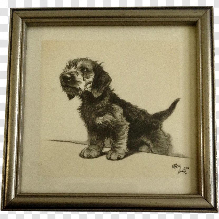Cockapoo Cesky Terrier Puppy Dog Breed Spaniel - Artwork Transparent PNG