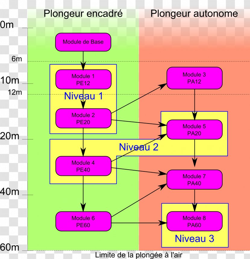 Underwater Diving Plongeur Niveau II Association Nationale Des Moniteurs De Plongée IV - Diagram - Padi Transparent PNG