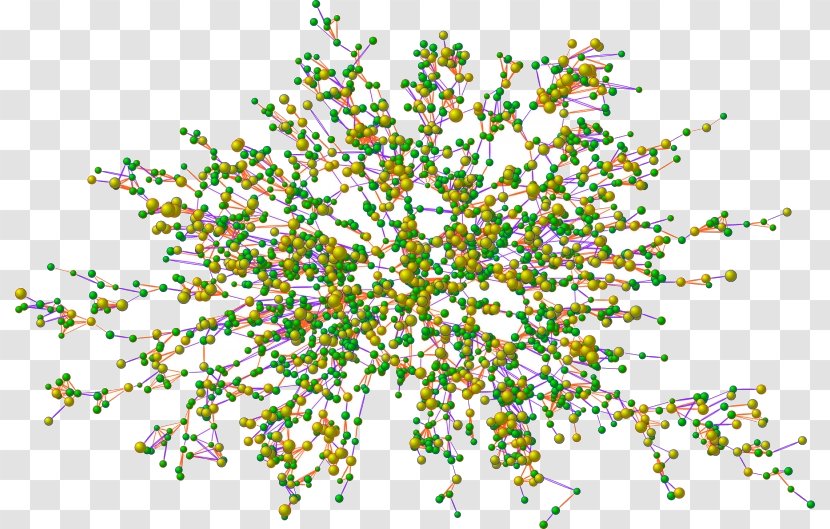 Graph Database Neo4j Directed Degree - Computer Science - Scalefree Network Transparent PNG