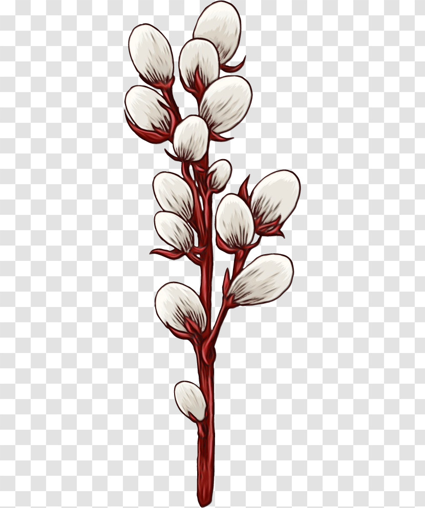 Flower Plant Pedicel Petal Plant Stem Transparent PNG