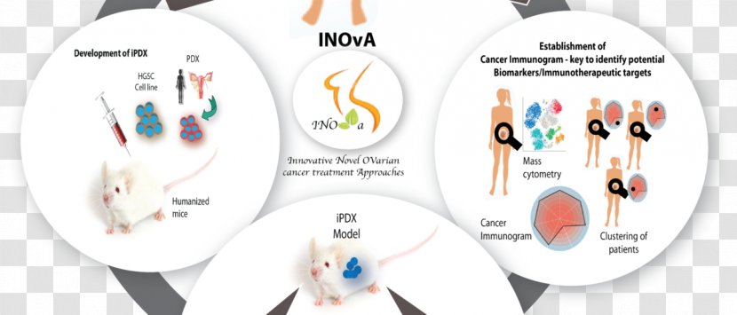 Ovarian Cancer Prostate Oncology - Flower - Inova Transparent PNG