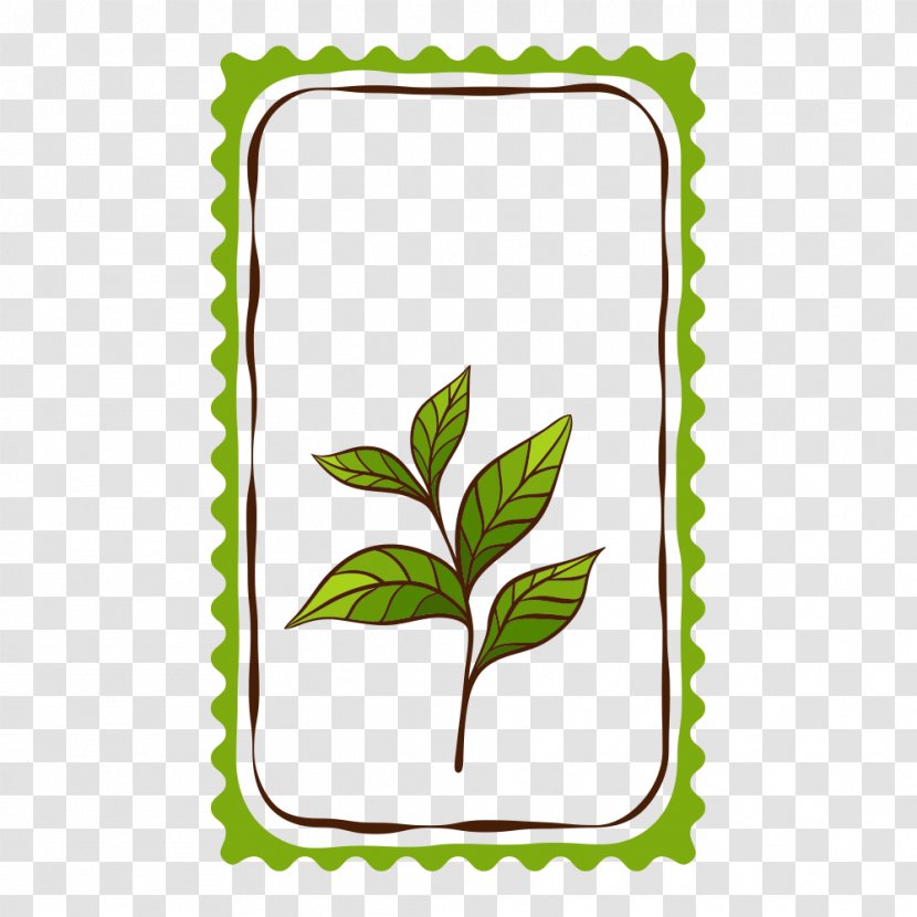 Green Tea Culture Teapot Transparent PNG