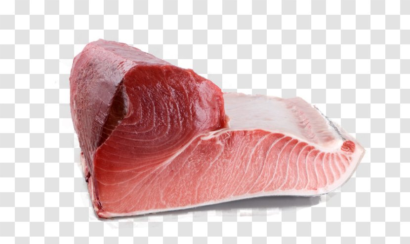Sushi Pacific Bluefin Tuna Chūtoro Seafood Southern - Frame - Fish Market Transparent PNG