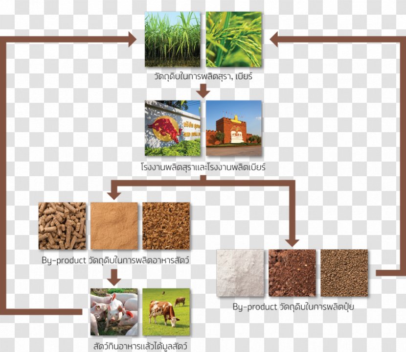 ThaiBev Wastewater Beer Natural Environment Resource - Lifecycle Assessment Transparent PNG