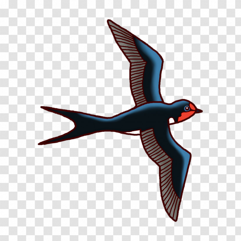 Beak Birds Water Bird Microsoft Azure Science Transparent PNG