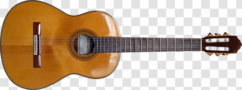 Classical Guitar Acoustic Tonewood Musical Instruments - Watercolor Transparent PNG