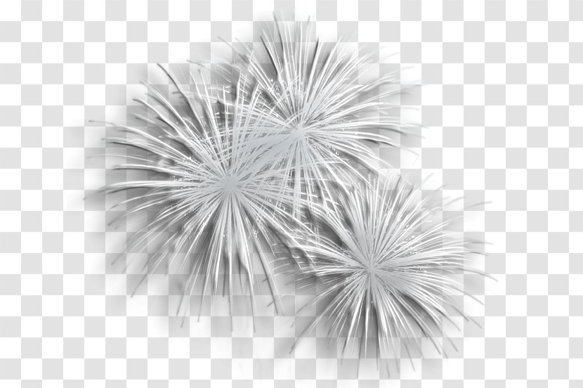 Fireworks Clip Art - Silver - Transparent Clipart Transparent PNG