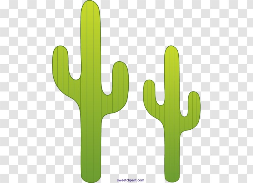 Cactaceae Saguaro Desert Clip Art - Cactus Transparent PNG