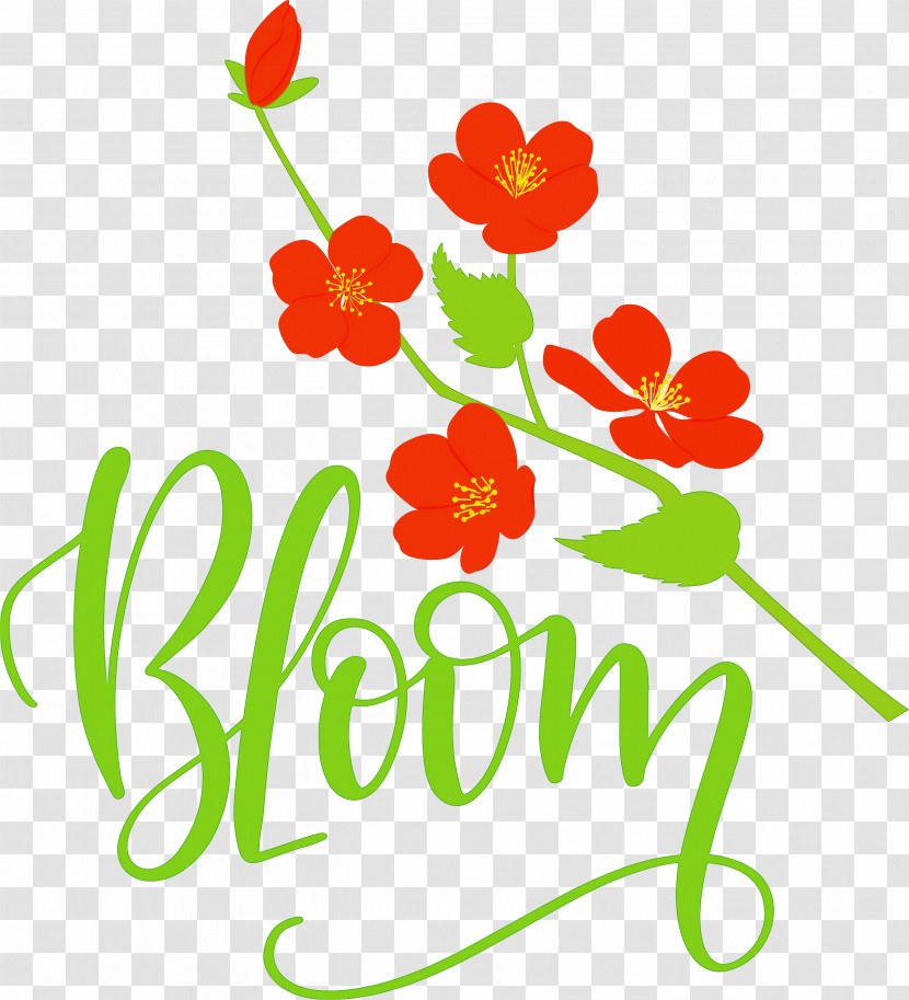 Bloom Spring Transparent PNG