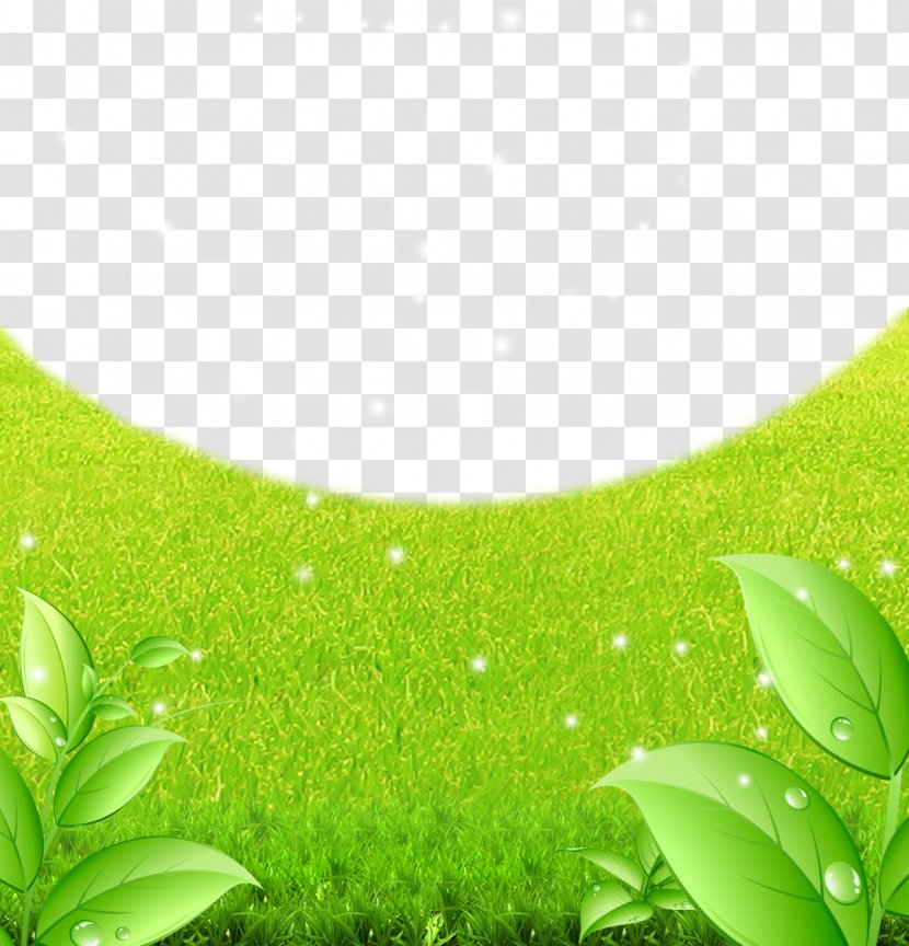 Green Lawn Fundal - Designer - To Background Material Transparent PNG