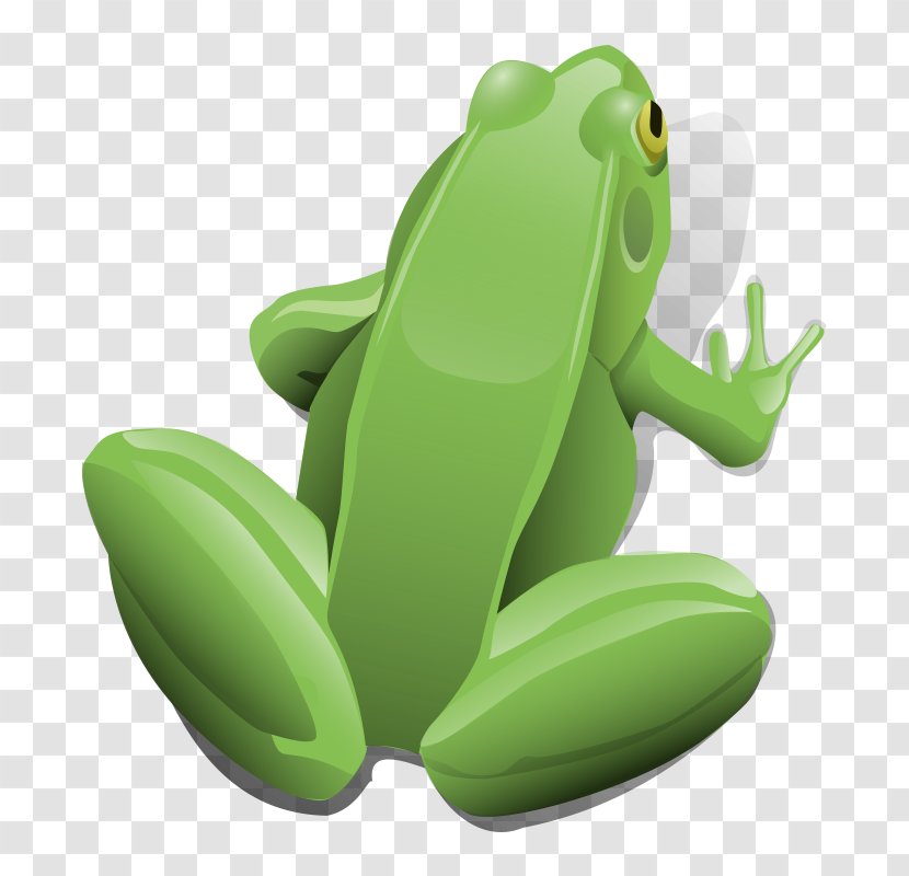 Frog And Toad Clip Art - Organism - Cartoon Bullfrog Transparent PNG