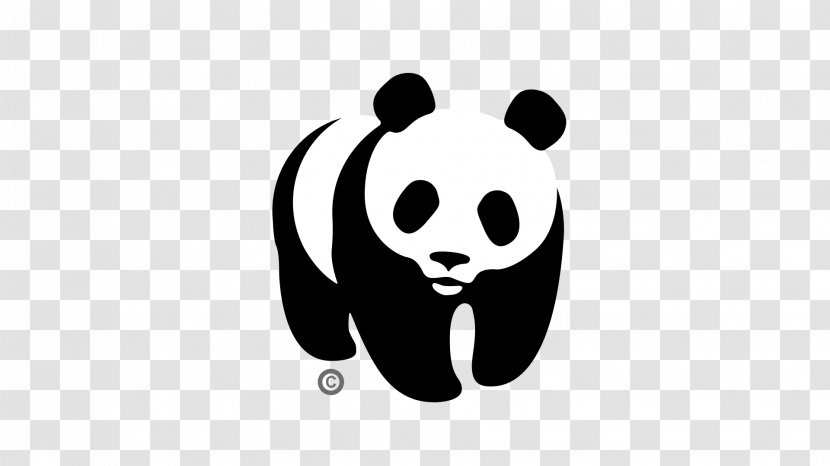 Giant Panda World Wide Fund For Nature WWF-Canada Conservation Living Planet Report - Smile - Philips Logo Transparent PNG