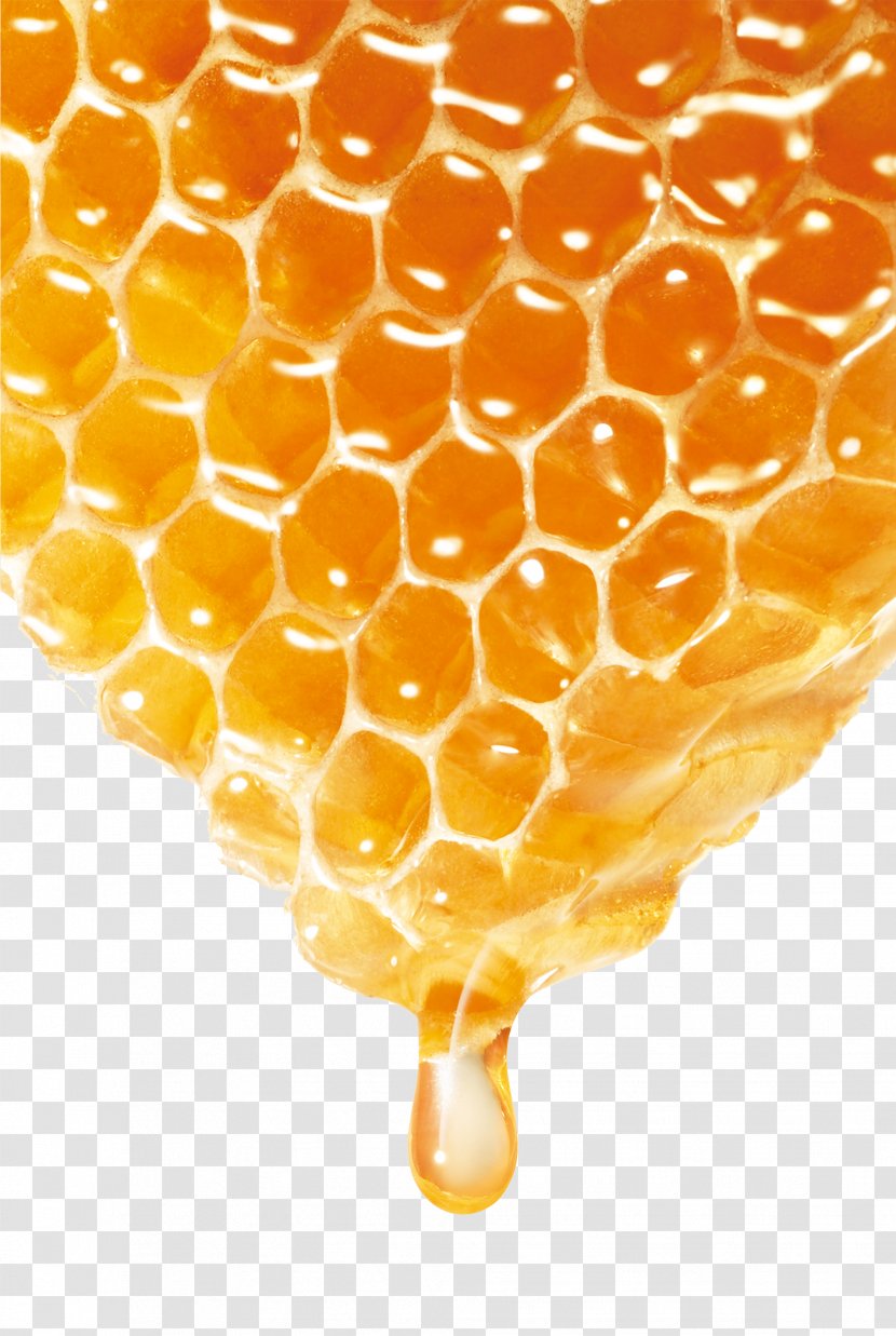 Bee Honey - Vecteur - Delicious Transparent PNG