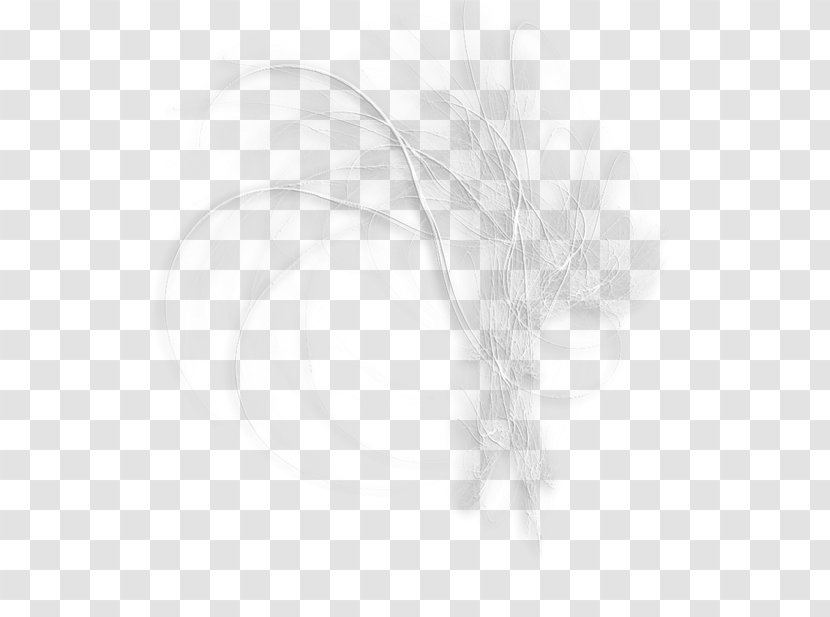 White Black Angle Pattern - Rectangle - Wire Grass Transparent PNG