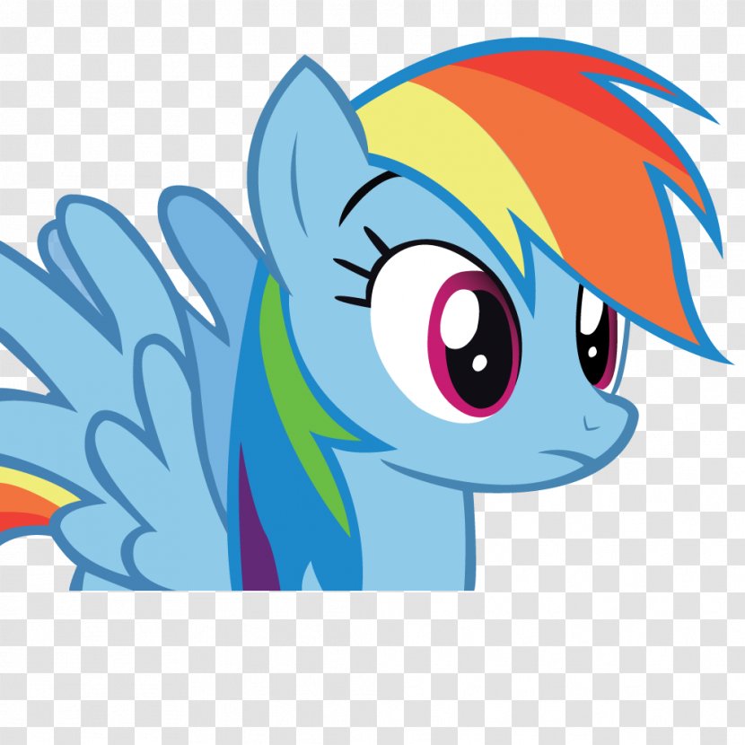 Rainbow Dash Pony Pinkie Pie Rarity Applejack - Photographer Vector Transparent PNG