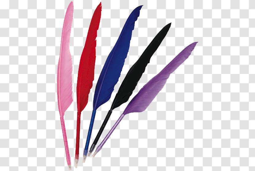 Quill Feather Ballpoint Pen Pencil - Wing Transparent PNG