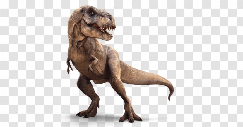 Rex Dinosaur Allosaurus Ceratosaurus Triceratops - Indominus Transparent PNG