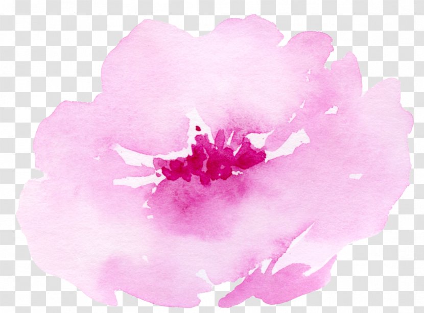 Watercolour Flowers Watercolor: Painting Illustration - Watercolor - Pink Roses Transparent PNG