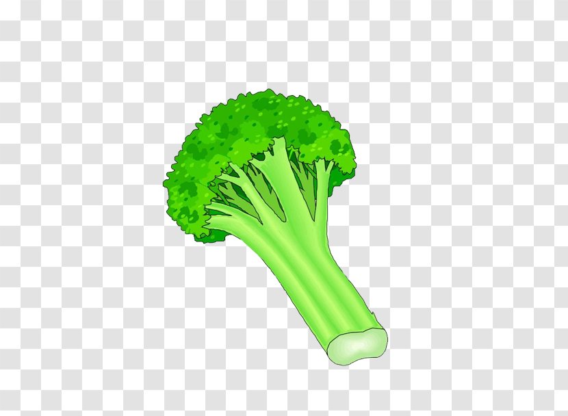 Broccoli Vegetable Clip Art - Organism - Cauliflower Transparent PNG