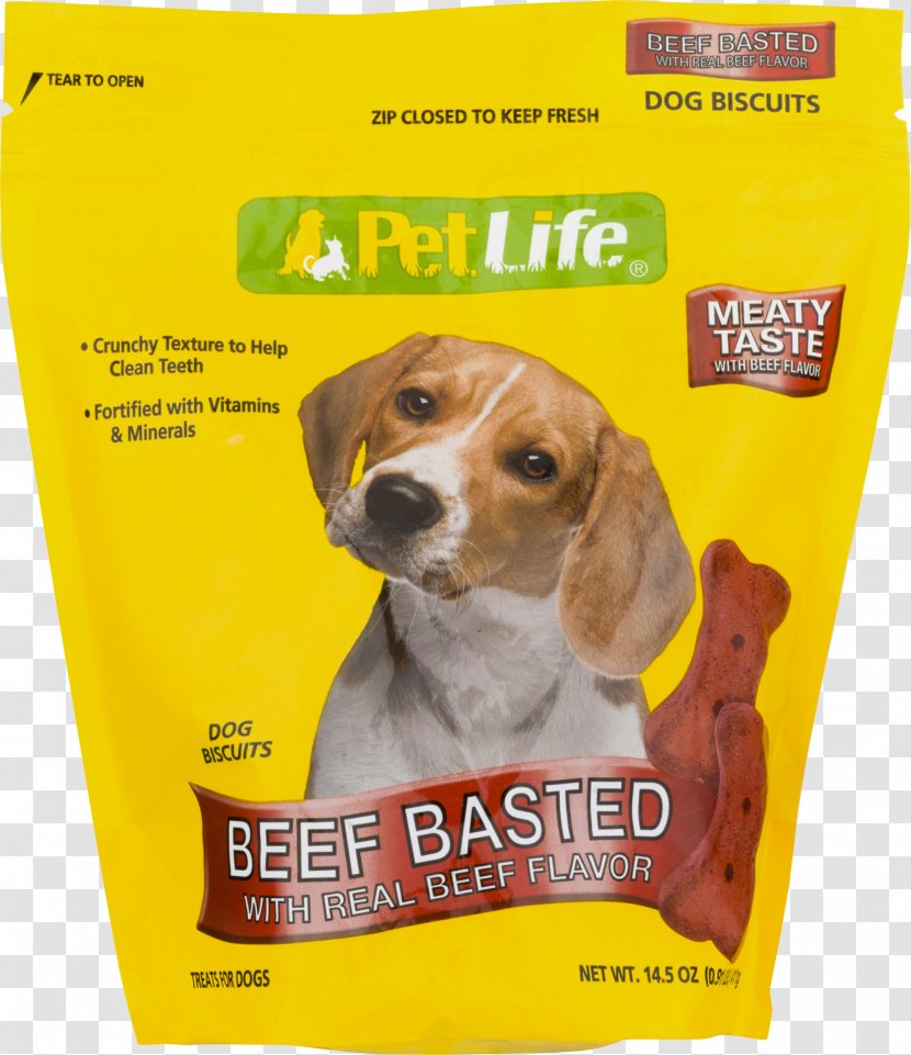 Beagle Pet Puppy Costume Clip Art Transparent PNG