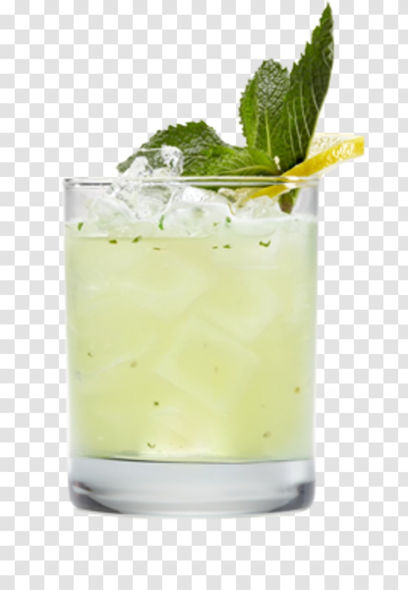 Mojito Mai Tai Cocktail Garnish Juice - Lemon Transparent PNG