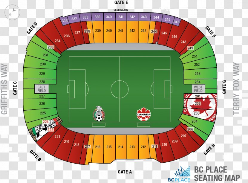 Soccer-specific Stadium Game Arena - Play - Design Transparent PNG