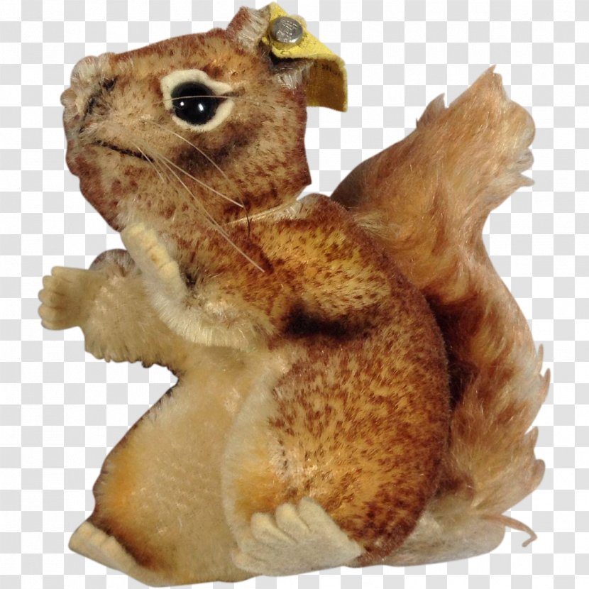 Squirrel Rodent Animal Figurine Organism Transparent PNG