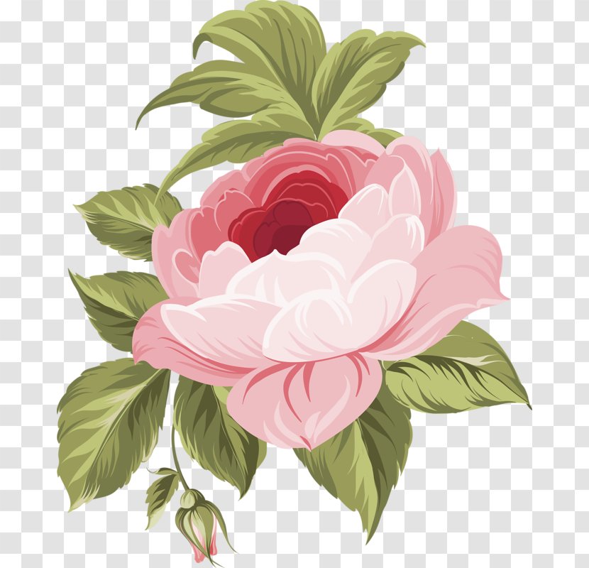 Flower Floral Design Rose Transparent PNG