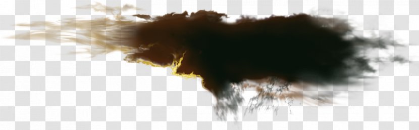 Photography Cloud Information - Lightning Transparent PNG