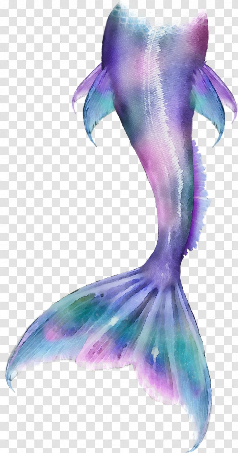Mermaid Drawing - Feather Cetacea Transparent PNG