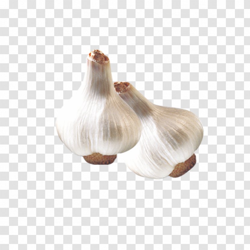Garlic Fresh Transparent PNG