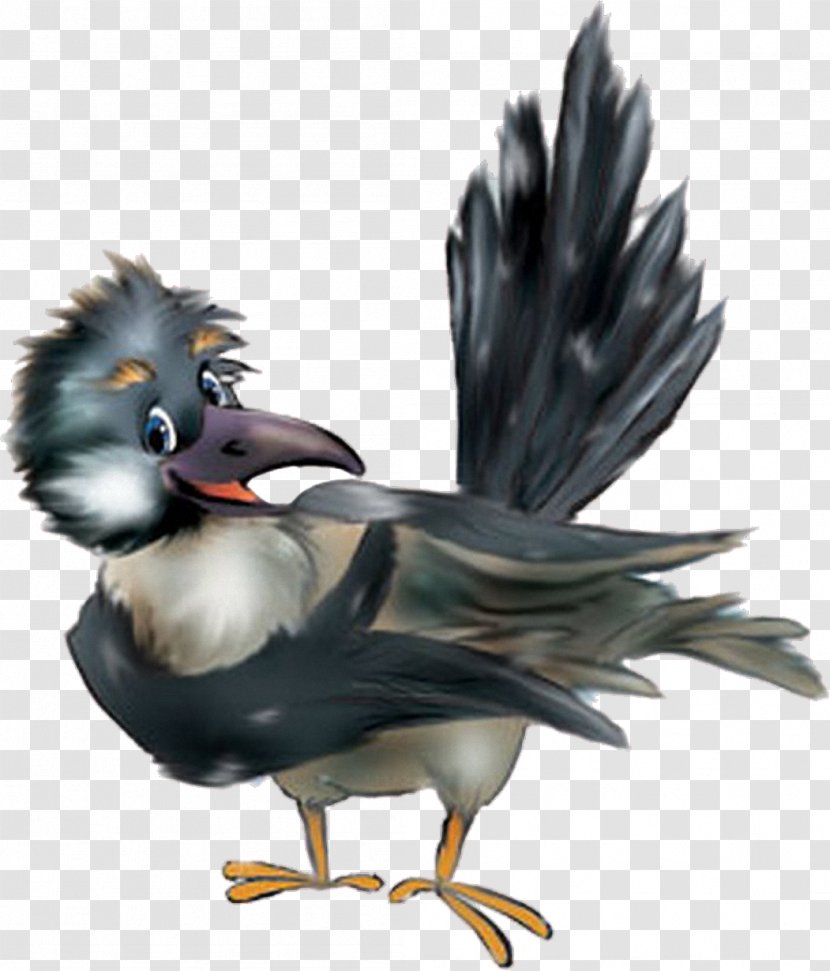 Bird Of Prey Clip Art - Feather - Birds Transparent PNG