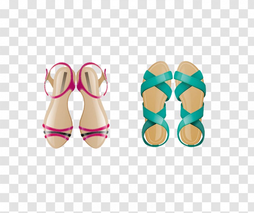 Slipper Shoe Flip-flops Boot - Summer Sandals Transparent PNG